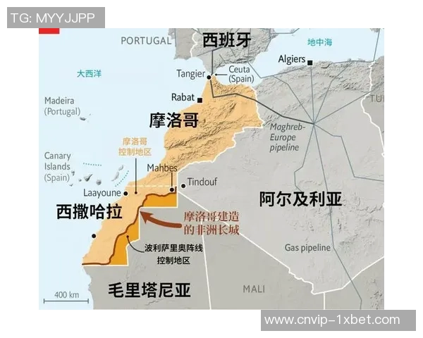 德国与阿尔及利亚的对决分析与赛后精彩回顾